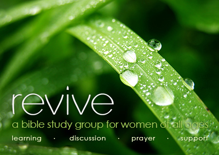 revive womens bible study group